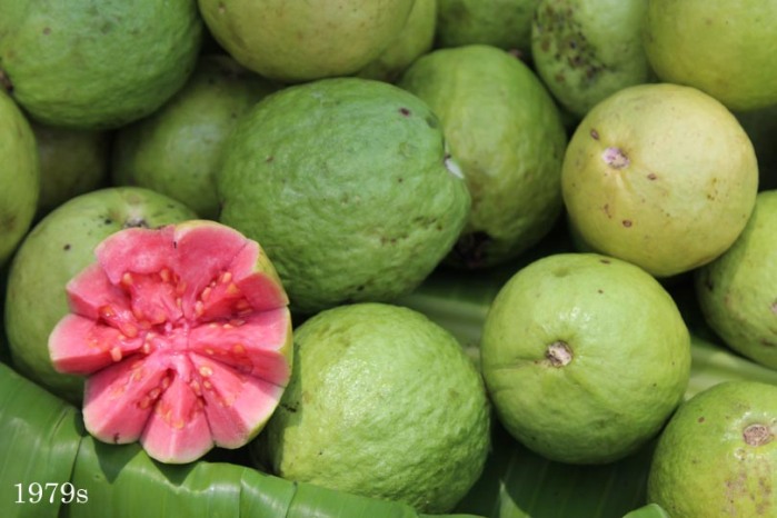 Cut Guavas